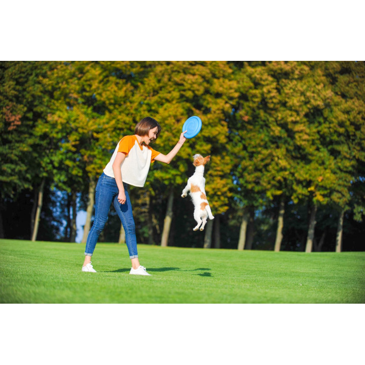 PITCHDOG "FLYING DISC"