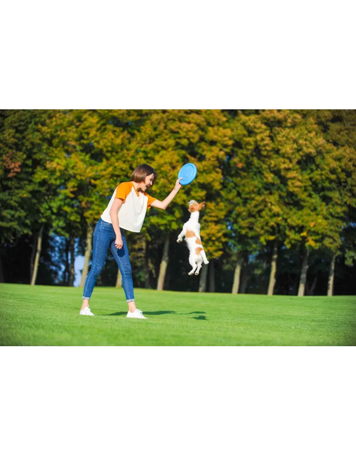 PITCHDOG "FLYING DISC"