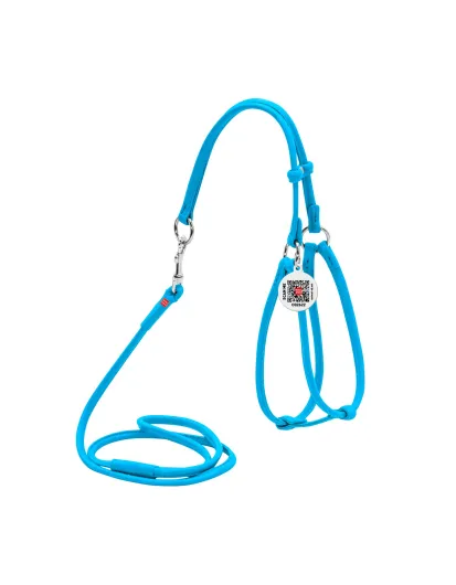 Harnais + Laisse ronde En Cuir
