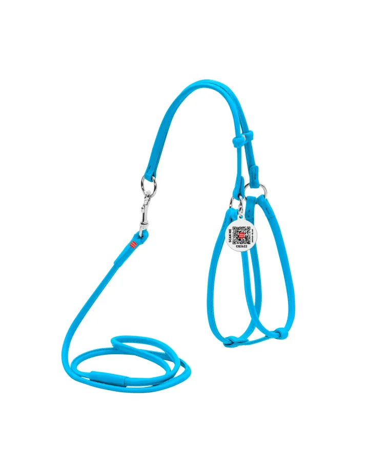 Harnais + Laisse ronde En Cuir