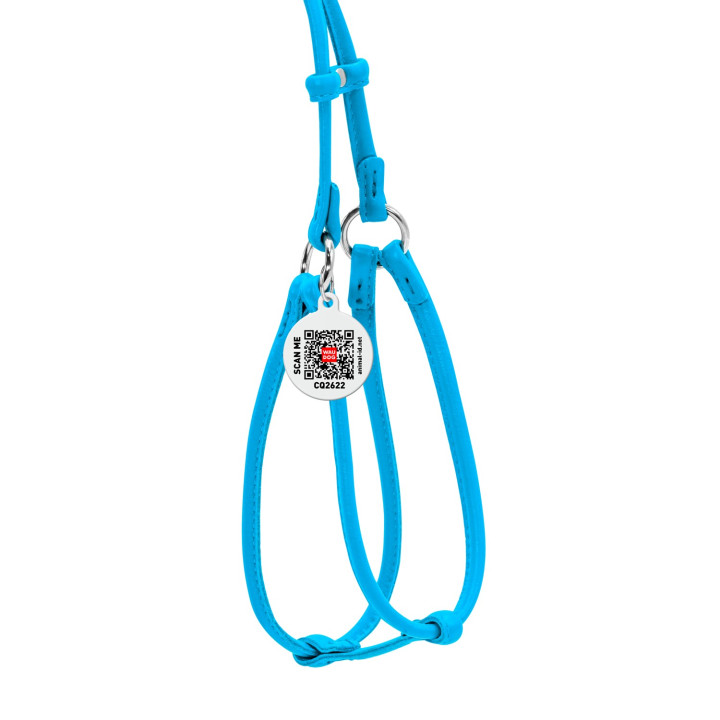 Harnais + Laisse ronde En Cuir