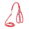Harnais + Laisse ronde En Cuir