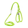 Harnais + Laisse ronde En Cuir