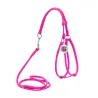 Harnais + Laisse ronde En Cuir