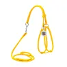 Harnais + Laisse ronde En Cuir