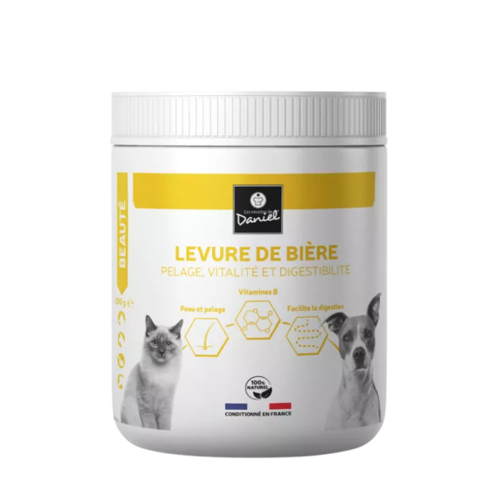 LEVURE DE BIERE