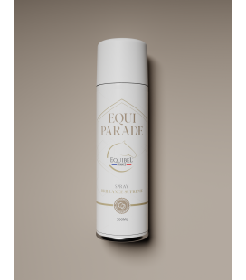 EQUI'PARADE Aérosol brillance